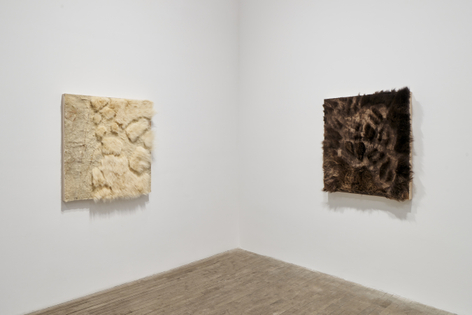 Sonya Kelliher-Combs, Ammivik, Home