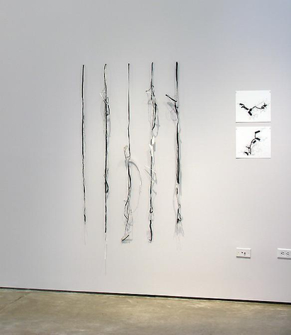 Luis Roldan, Sicardi Gallery Installation View, 2007