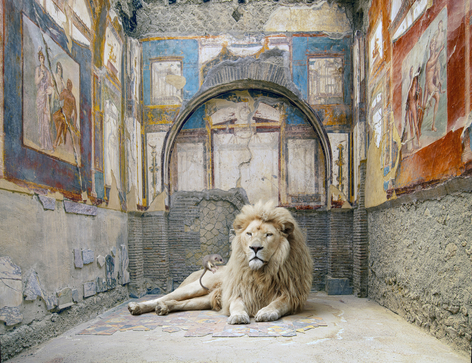Karen Knorr, Lion's Rescue, College of the Augustales, Herculaneum, 2023