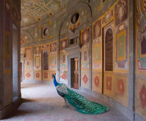 Heaven's Vault, Villa Farnese, Caprarola, Archival pigment print