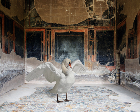 Karen Knorr, Zeus Disguised, House of the Stags, Herculaneum, 2023