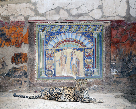 Karen Knorr, Bacchus in Attendance, House of Neptune and Amphitrite, Herculaneum, 2024