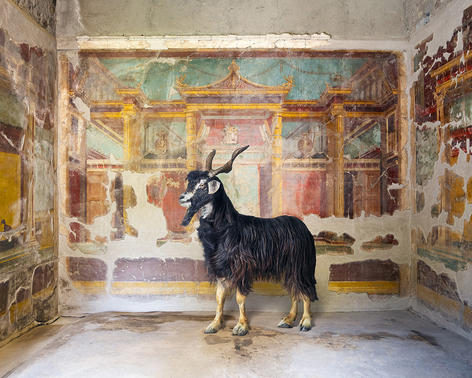 Karen Knorr, Syrnx&rsquo;s Suitor, Villa Oplontis, Torre Annunziata, 2024