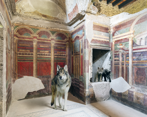 Karen Knorr, Lupanar, Villa Oplontis, Terra Annunziata, 2025