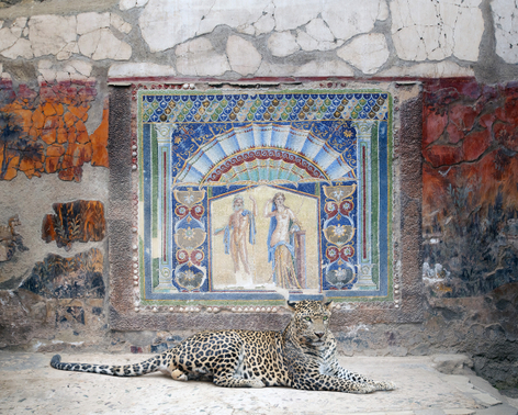 Karen Knorr, Bacchus in Attendance, House of Neptune and Amphitrite, Herculaneum, 2024