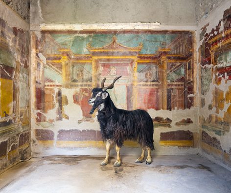 Karen Knorr, Syrnx’s Suitor, Villa Oplontis, Torre Annunziata, 2024