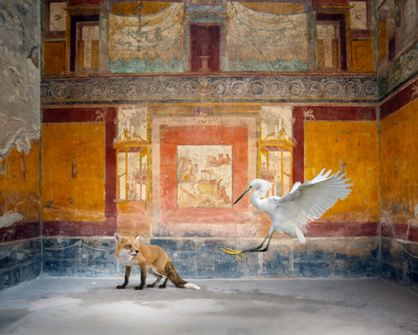 Karen Knorr, Heracles Intoxicated, House Of Siricus, 2025