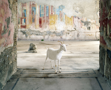 Karen Knorr, Pan’s Apparition, Gymnasium of the Luvenes, Pompeii, 2024