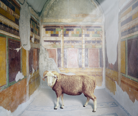 Karen Knorr, The Rescue of Elle and Frisso, House of the Silver Wedding, Pompeii, 2024