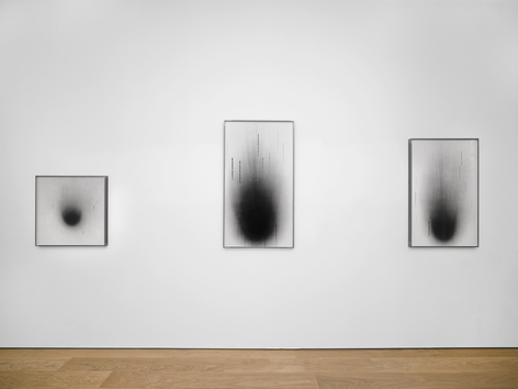 Dove Allouche: CHNOPS, installation view