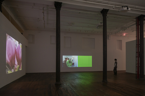Nashashibi/Skaer: Pygmalion Margaret Ursus Uan, installation view