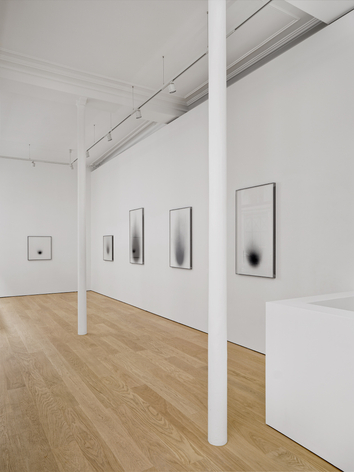Dove Allouche: CHNOPS, installation view