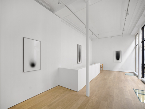 Dove Allouche: CHNOPS, installation view