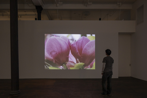 Nashashibi/Skaer: Pygmalion Margaret Ursus Uan, installation view