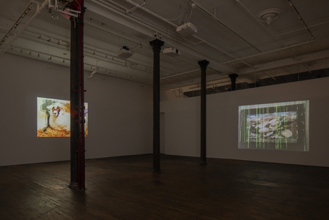 Nashashibi/Skaer: Pygmalion Margaret Ursus Uan, installation view