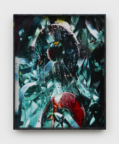 Diane Severin Nguyen