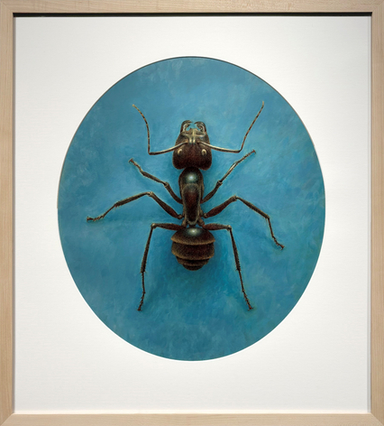 Ant (SOLD), 2024, acrylic and ball point pen, 16 x 18 inches