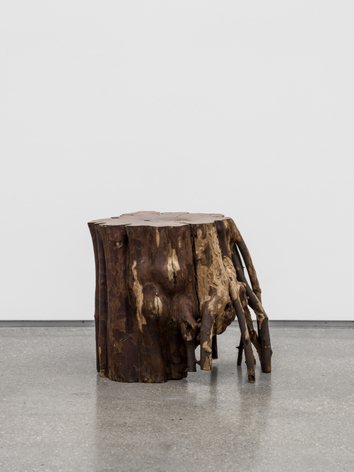 Koo Hyunmo, Quince tree, 2021., Quince tree, 38 x 34 x 46 cm.