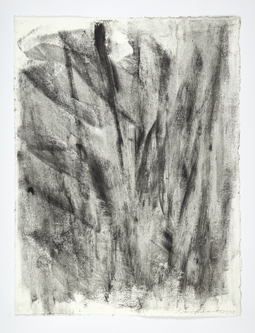 David Rabinowitch Untitled (36), 1993