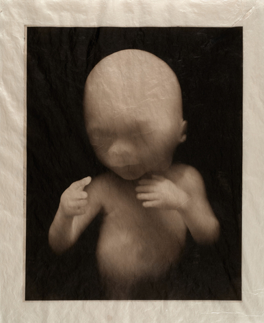 ELIZABETH HEYERT, THE UNBORN #2