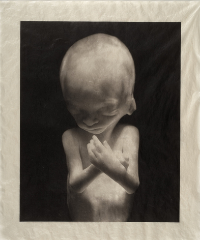 ELIZABETH HEYERT, THE UNBORN #3
