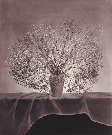 Flowers, 1983, Color Gravure