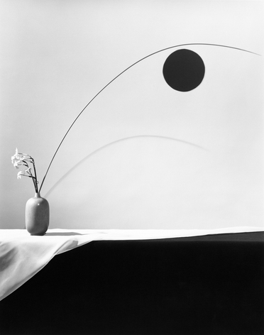 Black and white image of flower in vase on tablecloth with black geometric circle on background wall