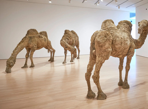 Roll Over, Warhol: Taking the ’60s Beyond Pop Art