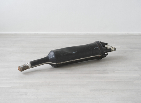 Nina Canell | ROOTED