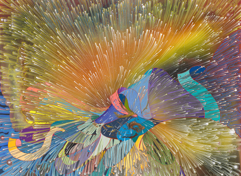 Barbara Takenaga: Parallax