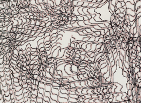 James Siena: New Drawings*