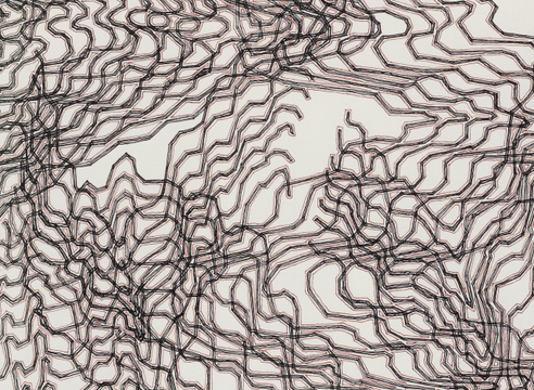 James Siena: New Drawings*