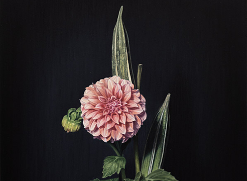 SUSAN McDONNELL , Under the Dahlia, 2026