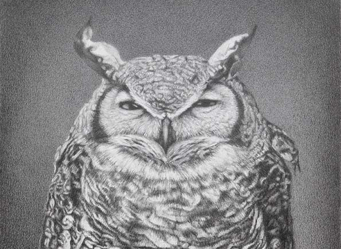 SUSAN MCDONNELL , Old Owl, 2025