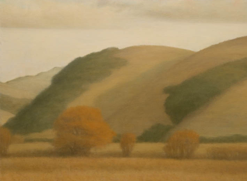 SARAH VEDDER , Chileno Valley, 2003.