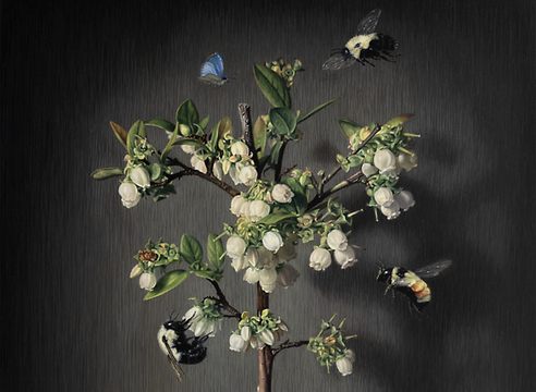 SUSAN McDONNELL , Bumblebees and Blueberry Blossoms, 2026