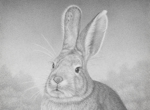 SUSAN MCDONNELL , Wise Beyond Measure, 2025