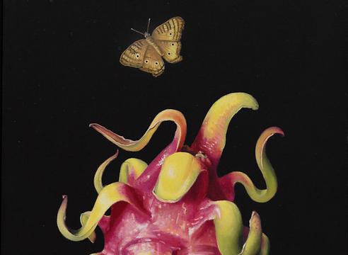 SUSAN MCDONNELL , Dragon Fruit, 2023