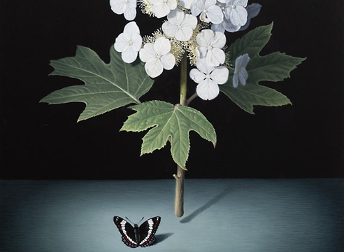 SUSAN McDONNELL , Magician, 2026