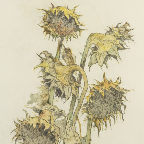 John Alexander Sunflowers print
