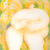 Anjelica Colliard - Painting of a rounded puffy figure sitting in bushes of white and yellow flower.