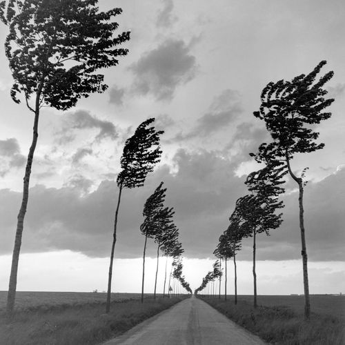 Route vers Etampes, 1933  Tirage argentique sur papier baryté  18x24 cm  Roger Schall  Unlimited edition