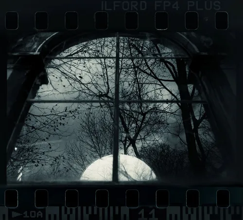 Jane Burton It is Midnight, Dr._ _, image 1, 2016 c-type photograph 45 x 50cm Edition of 3 plus 1 artist's proof