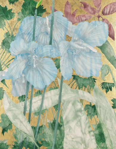 TIMOTHY BETJEMAN, Meconopsis Au/b*n