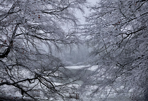 Portal Archival print on Hahnemühle William Turner 120 x 80 cm, Edition of 8 + 2 APs Archival print on Awagami Premio Unryu (Japanese washi paper) 84.1 x 59.4 cm, Edition of 6 + 2 APs 48.3 x 32.9 cm, Edition of 6 + 2 APs Edition of 6 plus 1 artist's proof