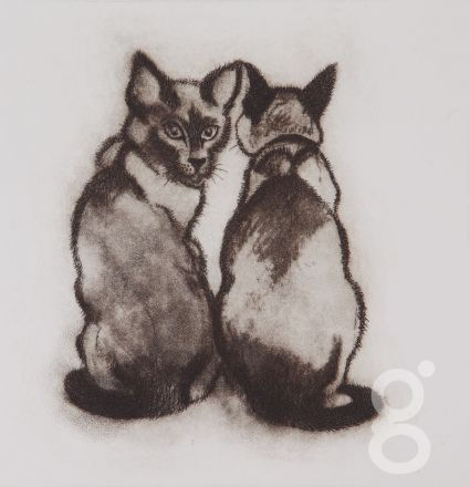 Susie Perring, What?