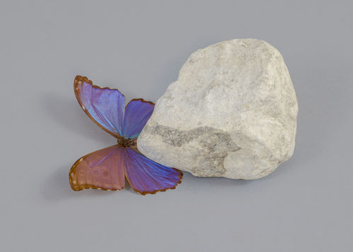 Jota Castro, Here Comes the Rain Again, 2013