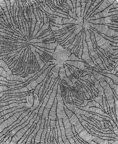 Lara Birgit Kamhi, an affair with limitation, 2021-2024