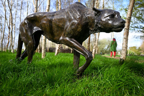 Gill Parker, LS Cheetah