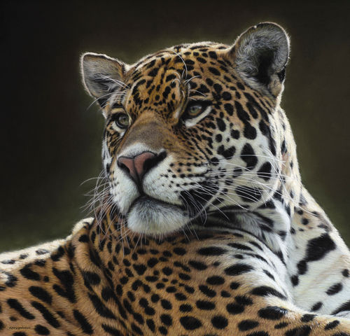 Gary Stinton Jaguar at Ease, 2021 Signed bottom left Pastel on museum board 17 x 18 ins (43.2 x 45.7cms) (artwork size) 24 x 23 ins (61 x 58.3 cm) (framed size)